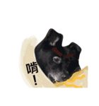 Black Enrage Dog（個別スタンプ：22）