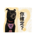 Black Enrage Dog（個別スタンプ：25）