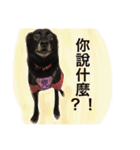 Black Enrage Dog（個別スタンプ：31）