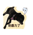 Black Enrage Dog（個別スタンプ：32）