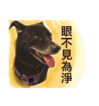 Black Enrage Dog（個別スタンプ：34）