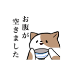 基本敬語なねこのすたんぷ（個別スタンプ：5）