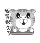 Cute dumb eye cat 3（個別スタンプ：1）