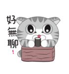 Cute dumb eye cat 3（個別スタンプ：12）