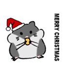 Cute Hamster QQ（個別スタンプ：1）