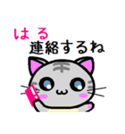 はる ねこ（個別スタンプ：19）