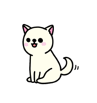 Snowie Dog（個別スタンプ：37）