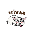 Pandy Dog French Bulldog（個別スタンプ：4）