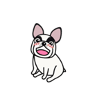 Pandy Dog French Bulldog（個別スタンプ：7）