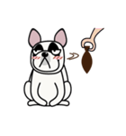 Pandy Dog French Bulldog（個別スタンプ：10）