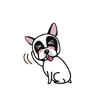 Pandy Dog French Bulldog（個別スタンプ：25）