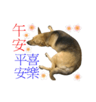 Mix Maobao（個別スタンプ：25）