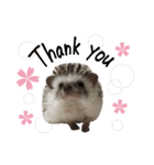 ハロー！みるく！2（個別スタンプ：4）