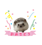 ハロー！みるく！2（個別スタンプ：22）