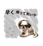 かわいこちゃん 1（個別スタンプ：1）