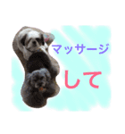 かわいこちゃん 1（個別スタンプ：2）