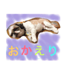 かわいこちゃん 1（個別スタンプ：3）