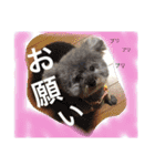 かわいこちゃん 1（個別スタンプ：7）