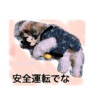 かわいこちゃん 1（個別スタンプ：10）