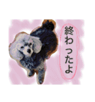 かわいこちゃん 1（個別スタンプ：11）