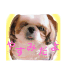 かわいこちゃん 1（個別スタンプ：12）