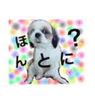 かわいこちゃん 1（個別スタンプ：15）
