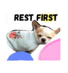 Little TK（個別スタンプ：1）