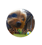 森に住むWater一家（個別スタンプ：1）