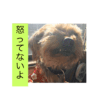 森に住むWater一家（個別スタンプ：2）