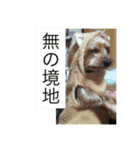 森に住むWater一家（個別スタンプ：3）