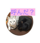 森に住むWater一家（個別スタンプ：5）