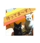 森に住むWater一家（個別スタンプ：9）
