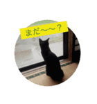 森に住むWater一家（個別スタンプ：10）