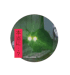 森に住むWater一家（個別スタンプ：16）