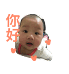 HA HA r（個別スタンプ：8）