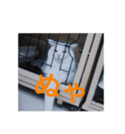 まろにゃんの毎日（個別スタンプ：1）