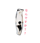 まろにゃんの毎日（個別スタンプ：6）