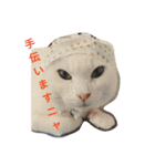 まろにゃんの毎日（個別スタンプ：13）
