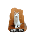 mochi#2（個別スタンプ：4）