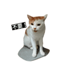 mochi#2（個別スタンプ：5）