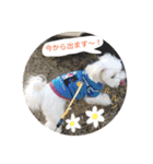 あやこことはる（個別スタンプ：3）
