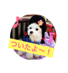 あやこことはる（個別スタンプ：4）