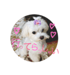 あやこことはる（個別スタンプ：6）