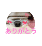あやこことはる（個別スタンプ：7）