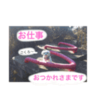 あやこことはる（個別スタンプ：8）