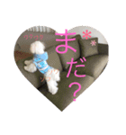 あやこことはる（個別スタンプ：10）