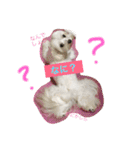 あやこことはる（個別スタンプ：14）
