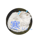 あやこことはる（個別スタンプ：16）