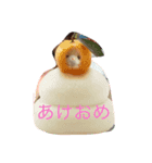ねこのみぃ。（個別スタンプ：5）