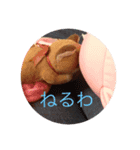 ねこのみぃ。（個別スタンプ：7）